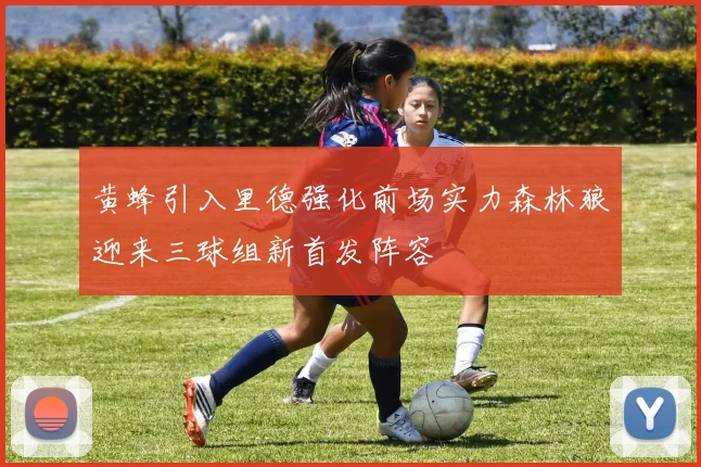 黄蜂引入里德强化前场实力森林狼迎来三球组新首发阵容