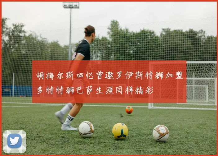 胡梅尔斯回忆曾邀罗伊斯特狮加盟多特特狮巴萨生涯同样精彩