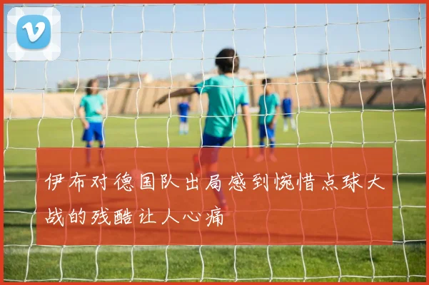 伊布对德国队出局感到惋惜点球大战的残酷让人心痛
